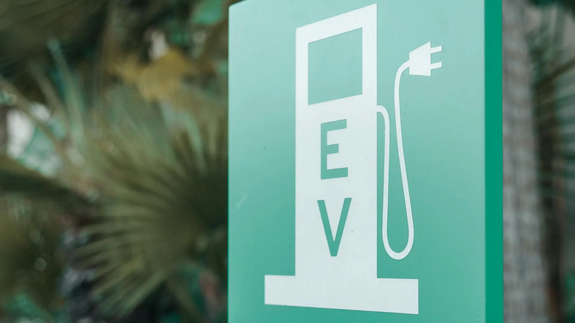 nghiên cứu thị trường xe điện