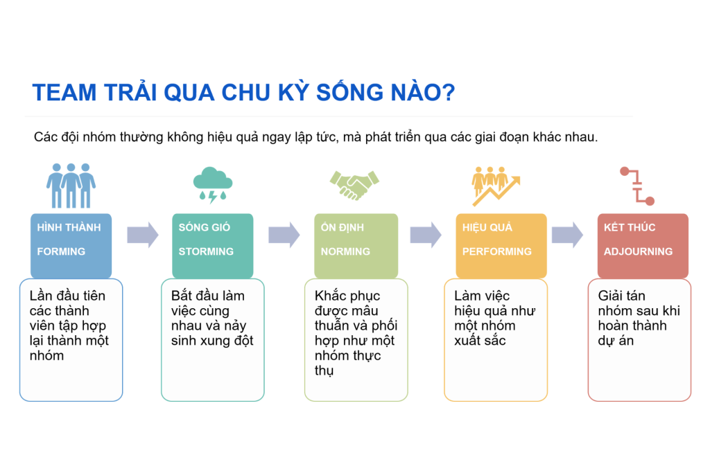 phối hợp đội ngũ